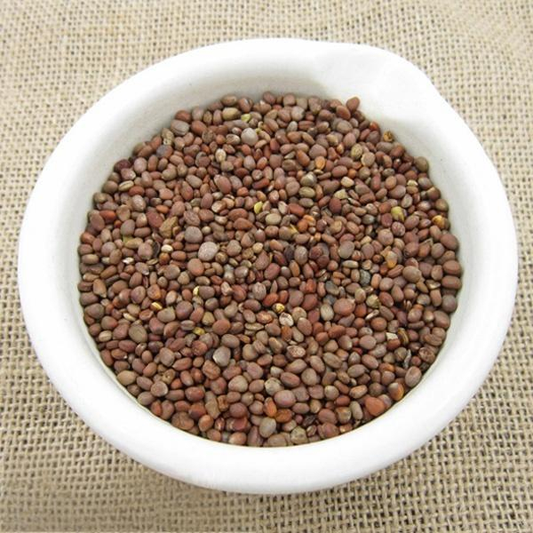 Radish Seed (Lai Fu Zi)
