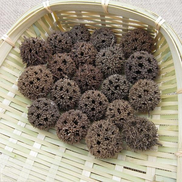 Fructus Liquidambaris