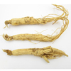 Radix Ginseng Alba