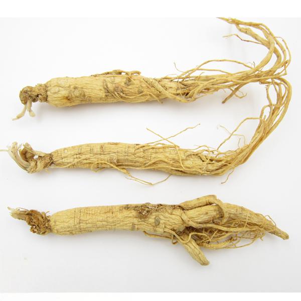 Radix Ginseng Alba