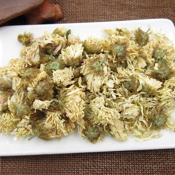 Chrysanthemum morifolium Flower