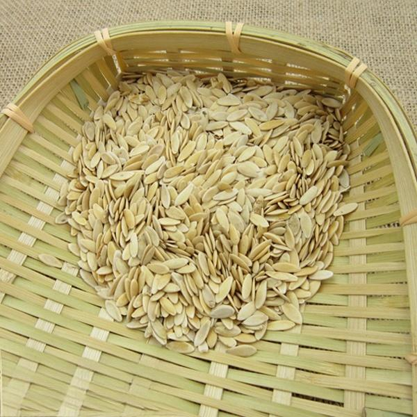 Cucumis sativus seed