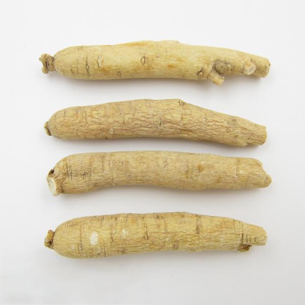 Radix Panacis Quinquefolii